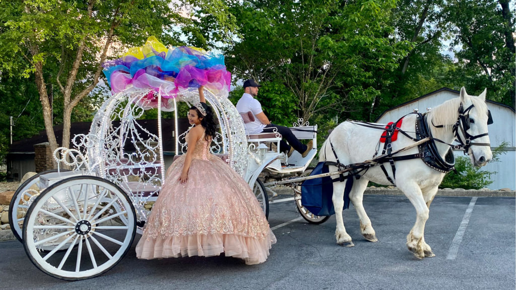 Heritage Carriage Rides – slide photo – girl in peach