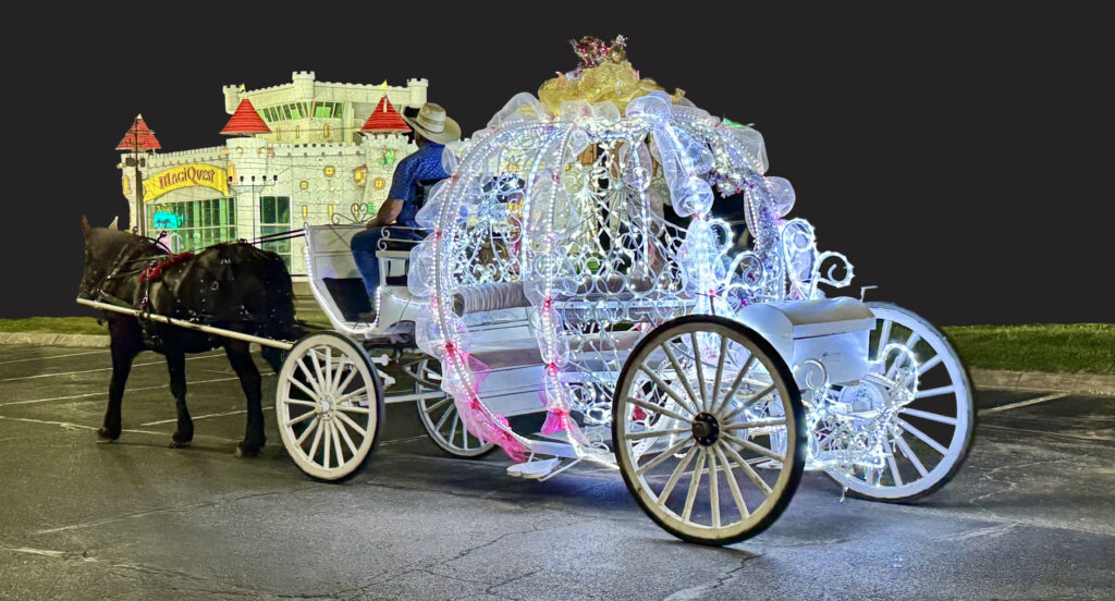 Carriage Ride IMG_3752 clipped copy