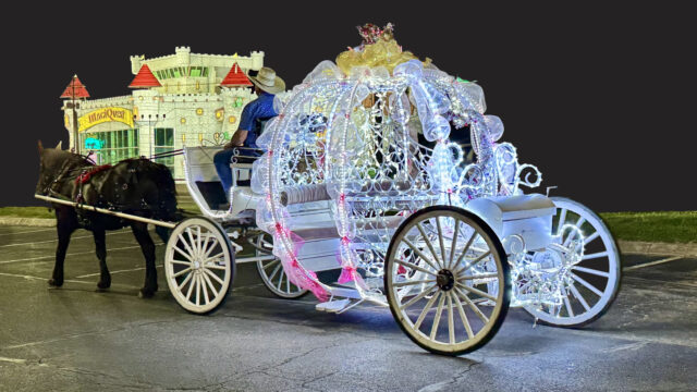 Carriage Ride IMG_3752 clipped copy