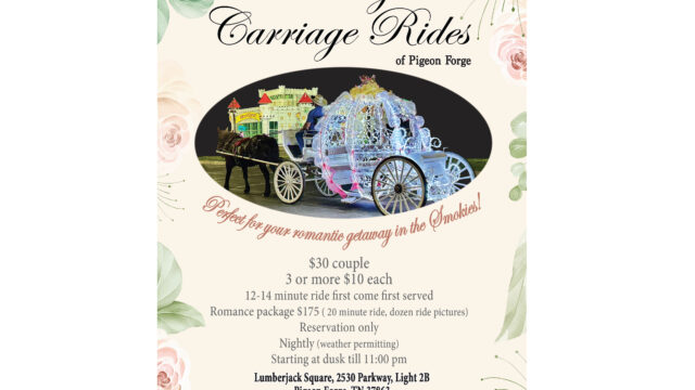 BSH-19902_VC_Connection-Guide_3.5x6_R1