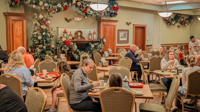 PXL_20250328_125558024-2 copy