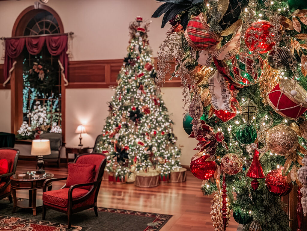 PXL_20250601_011227751.PORTRAIT copy