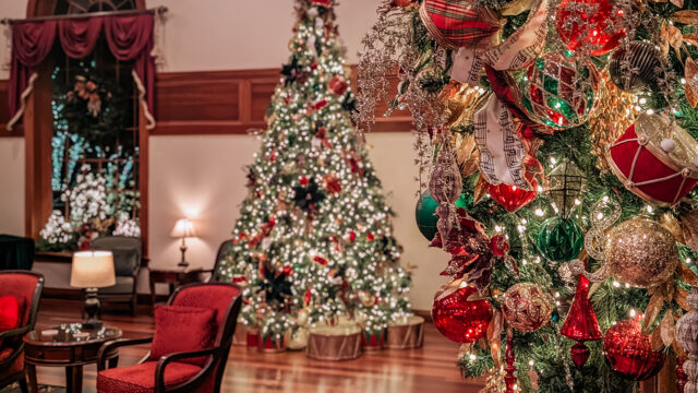 PXL_20250601_011227751.PORTRAIT copy