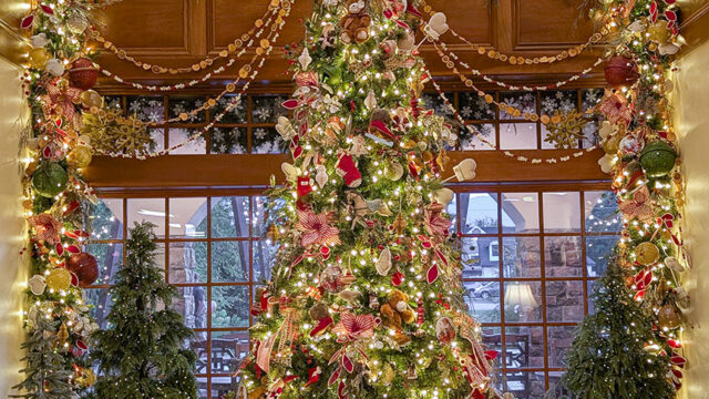 PXL_20250724_004053955.PORTRAIT.ORIGINAL copy