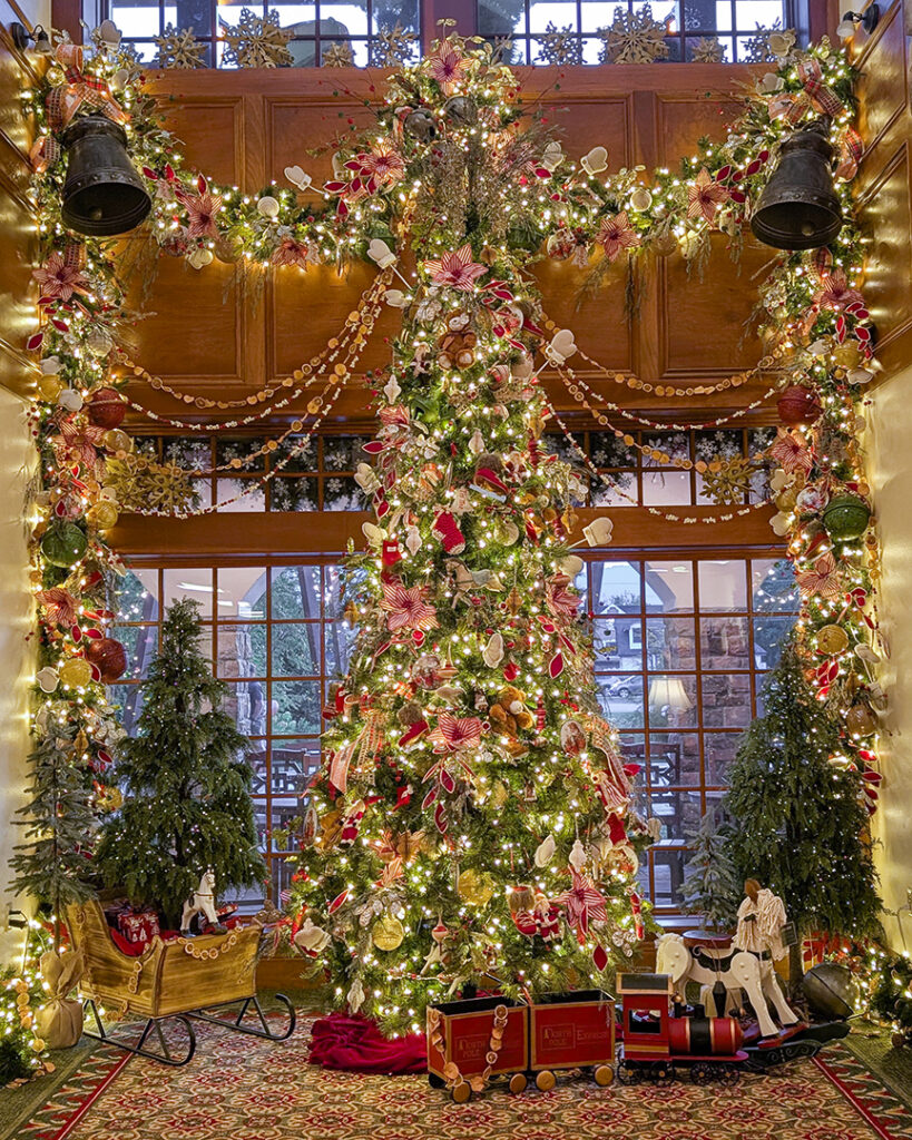 PXL_20250724_004053955.PORTRAIT.ORIGINAL copy