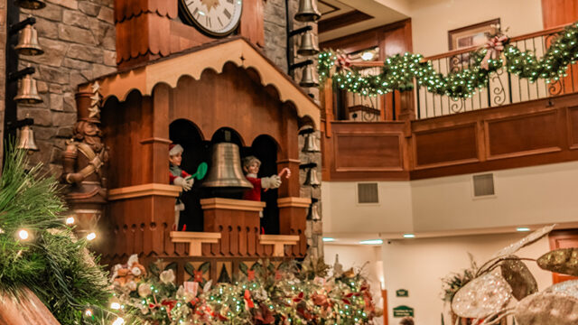 PXL_20250724_011401253 copy